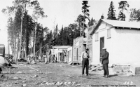 Cranberry - 1929
