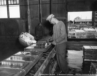 Zinc Casting Plant