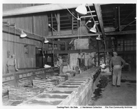 Zinc Casting Plant
