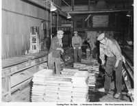 Zinc Casting Plant