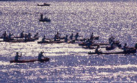 Trout Festival - Gold Rush Canoe Derby