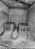 Casting Plant