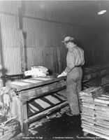 Casting Plant