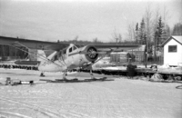 Norseman CF-ECE