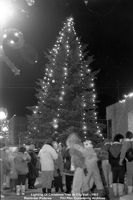 City Hall Christmas Tree Lighting