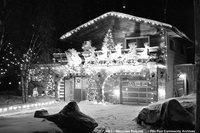 Christmas lights