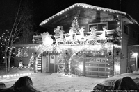 Christmas lights