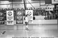 1992 All-Star Hockey Game