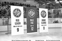 1992 All-Star Hockey Game