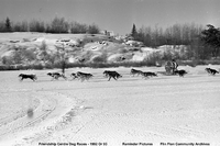 Friendship Centre Dog Races