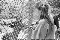 Flin Flon Zoo