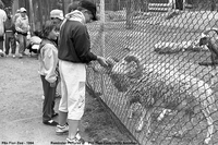 Flin Flon Zoo