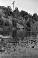 Hapnot Lake Duck Pond
