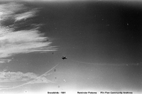 The Snow Birds