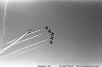 The Snow Birds