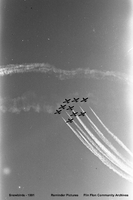 The Snow Birds