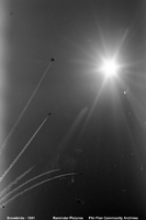 The Snow Birds