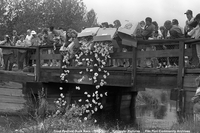 1993 Flin Flon Trout Festival Duck Race