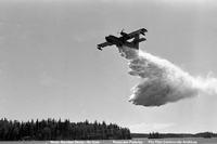 Water Bomber