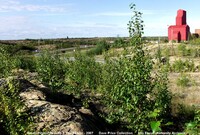 Flin Flon Green Project