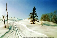 Flin Flon Ski Club