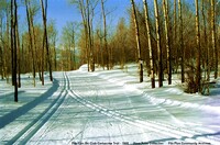 Flin Flon Ski Club