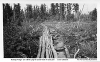 Muskeg Portage Two To Three Miles Long On Canoe Route To Cold Lake (C 1929)