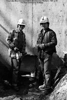 Trout Lake Mine
