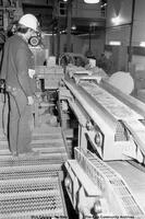 Zinc Casting Plant