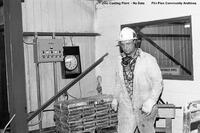 Zinc Casting Plant