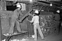 Smelter Reverberatory Furnace